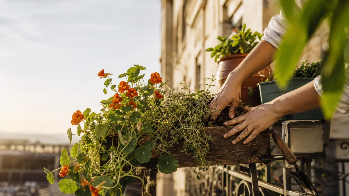 Jardinière balcon : bien choisir avec Balcons d'Épicure
