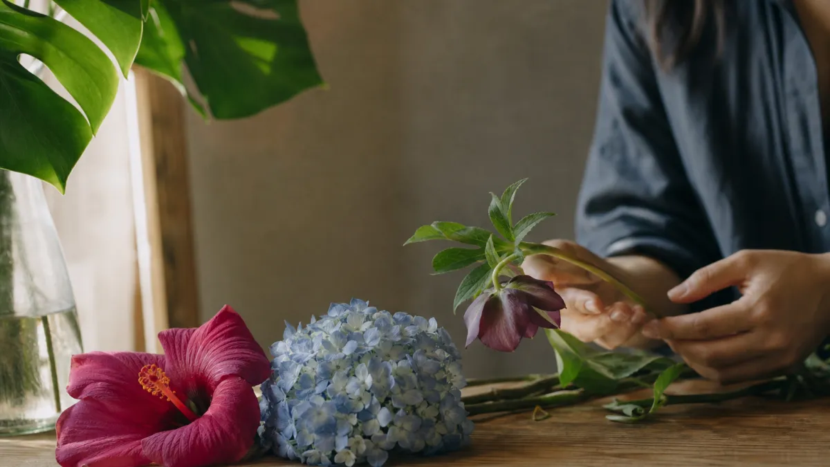Fleurs qui commencent par la lettre H : la liste complète